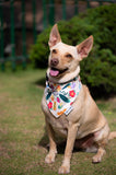 Quick dry doggy bandana