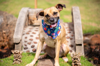 Quick dry doggy bandana